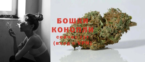 тгк Дмитровск