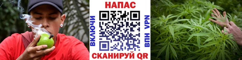 Конопля индика Купить где Котельники